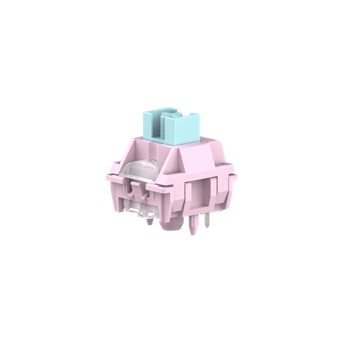 TTC Infiverse Xi Zi Switch