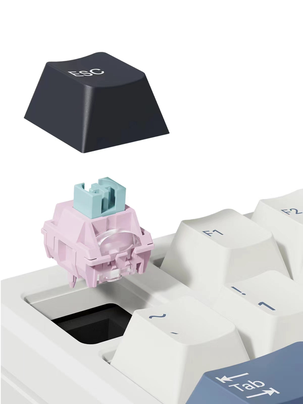 TTC Infiverse Xi Zi Switch